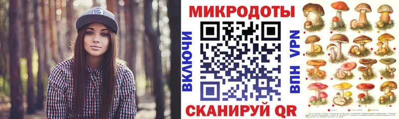 Купить закладки Новоржев Галлюциногенные грибы GOLDEN TEACHER