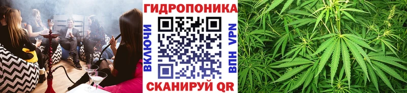 Купить  Новоржев  Конопля SATIVA & INDICA 